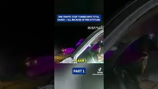CHAOTIC Traffic Stop Pt.1