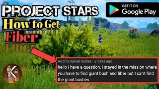 Project Stars 
