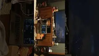 neighbors dog wanted to play #loud  #speaker #loud #anoying #cool #funny #intresting