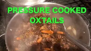 Quick Caribbean Oxtail pressure cooked in Ninja Foodi