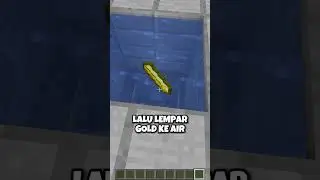World Paling Terkenal Di Minecraft!
