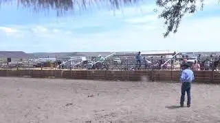 Shelman Family Horse Sale Live Stream