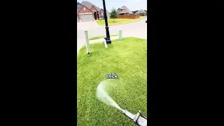 How to Get Rid of Crabgrass - Like a PRO!