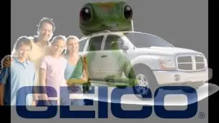 car insurance estimator