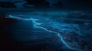 Endless Ocean Waves Gently Embrace the Shore Inviting You Into a State of Deep Relaxation