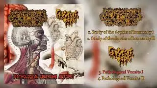 Arachnid Infestation / DxBxAxlxRxHxFx - Pathological gruesome autopsy FULL Split (2025 Goregrind)