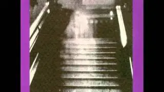 Agitated Radio Pilot - Hold Back the Sea