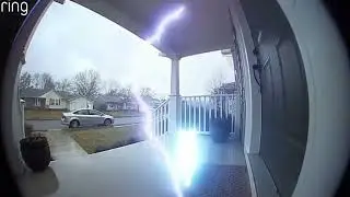 cat struck by lightning