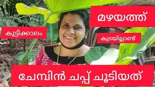 തനി നാടൻ കറി വെച്ചാലോ.#ᴍᴀʟᴀʏᴀʟᴀᴍ #food #trending 