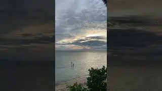 #shorts #ytshorts #1minshorts #nature #seabitch #viral #tranding #relax #birdsound #flower #titanic