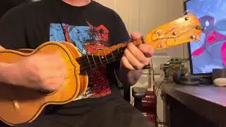 Vihuela Pegasso Trio Guadalajara - Vihuela Cover/Tutorial