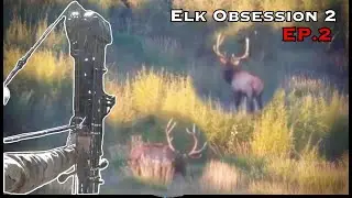 Montana Archery Elk - Raking Bull Turns Into 36 Yard Shot
