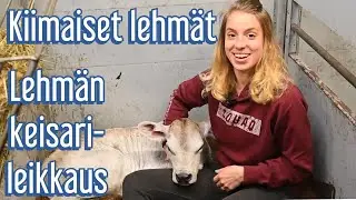 Keisalan tilan uutiset 14