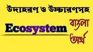 Word Meaning of Ecosystem । Ecosystem এর বাংলা অর্থ @bangladictionary 