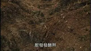 這就是正確的有機肥製作   這才是節能減碳愛地球