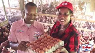 Layer Farmer Christine Montague Testimonial