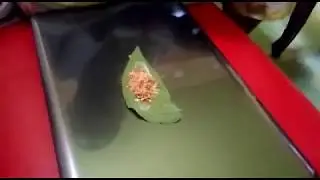 Tutorial Nyirih atau nginang