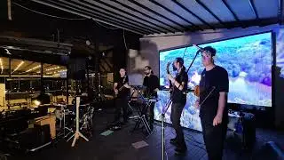 This Blues Jam in Tehran is Pure Magic! 🎸 Mortaz Band Live #shorts