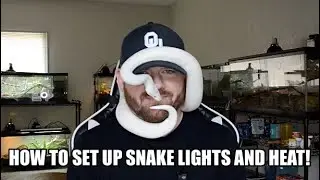 Pet Snake Lighting and Heating Guide! (2025)