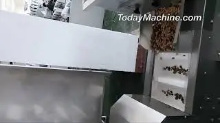 High Quality Stainless Steel Z Type Chain Bucket Elevator Conveyor Price
