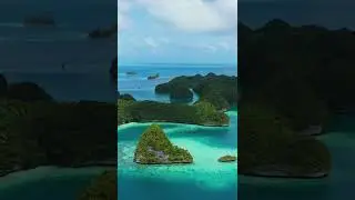 🌊✨ Discover the beauty of Palau &mdash; where every dive feels like a dream.