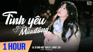 [1 HOUR] T&igrave;nh Y&ecirc;u Giữa M&ugrave;a Đ&ocirc;ng (Lofi Ver.) - Ca Sĩ Giấu Mặt Cover ft. SONAT Lofi | Bản Chuẩn TikTok