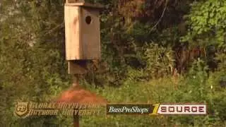 Waterfowl Habitat - Convert Your Beaver Pond Into A Waterfowl Heaven by J  Wayne Fears