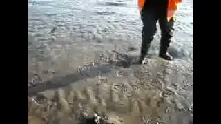 Pingtung City Court - Mercedes Benz Truck Mud : Nike Notary Public | STS Logistics