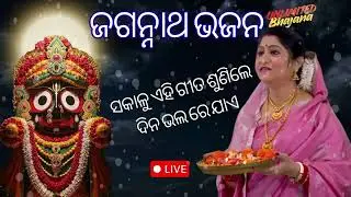 Top 10 Odia Jagannath Bhajan 2025 | NAMITA AGRAWAL HITS | TS ENTERTAINMENT