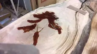 Filling a knot with West System Epoxy.