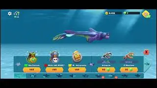 Hugh shark novo tubarão Alan 