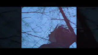 Biv - I'MSOSORRY | Lyrics