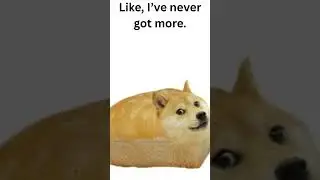 Three followers!!!!!!!! #doge #dogememe #meme #funny #memelord