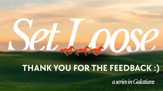 25 Jan 2026 11am - Set Loose - Thanks For The Feedback (Guy Axelson)