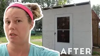 Best Ventilation Chicken Coop Time Lapse