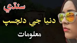 Sindhi, Interesting Facts | Sindhi Info | #sindh