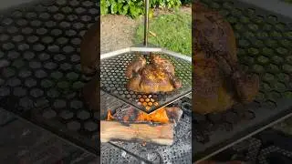 Spatchcock chicken over open flame 🔥 #livefirecooking #roadgrill #campfirecooking
