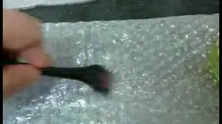 How to quickly pop bubble wrap for recycling!