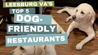 Discover the Top 5 Dog-Friendly Restaurants in Leesburg, Virginia