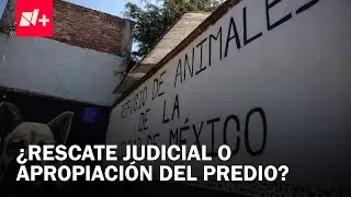 Gobierno de la CDMX explica rescate de animales del Refugio Franciscano - En Punto