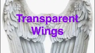 Transparent Wings 
