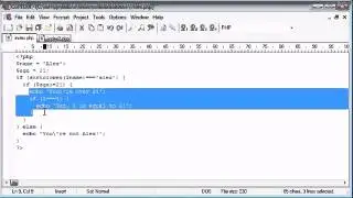 Beginner PHP Tutorial   8   Indentation ‏