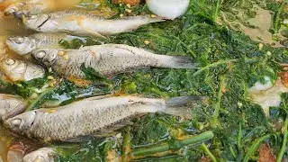 KINAMATISANG PAET | PAGKAING BUKID | OUTDOOR COOKING |Team AgustinTV