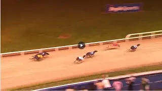Semi-Finals 2023 BoyleSports Irish Greyhound Derby