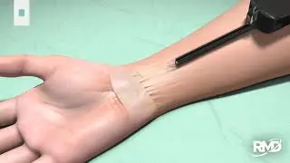 VECTR Animation