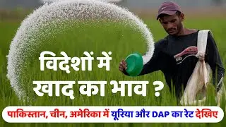 You'll be shocked to see the prices of urea, DAP, and potash in other countries. What are the rates of fertilizers in Pakistan and the United States?