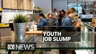 Calls for vocational training funds to help tackle youth unemployment | ABC News