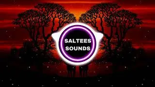 d.e.v.i.l - remix - saltee sounds
