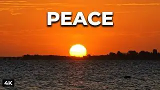 Sunset Vibes 4K | Atmospheric Progressive House by the Lagoon