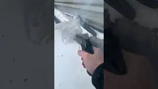 Разношу яблоко из Кольта / Shoot the apple. Colt 1911